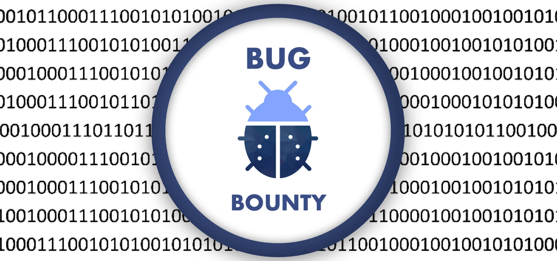 bug bounty