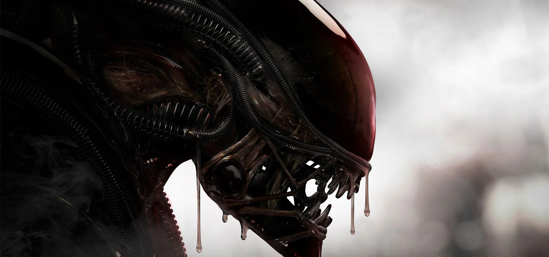 yeni-xenomorph-android-kotu-amacli-yazilimi-56-bankanin-musterilerini-hedef-aliyor